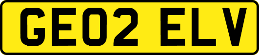 GE02ELV