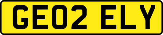 GE02ELY