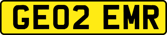 GE02EMR