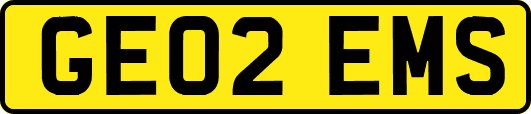 GE02EMS