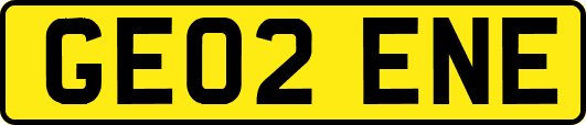 GE02ENE
