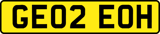 GE02EOH