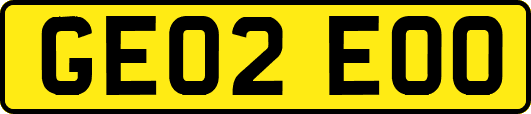 GE02EOO