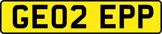 GE02EPP