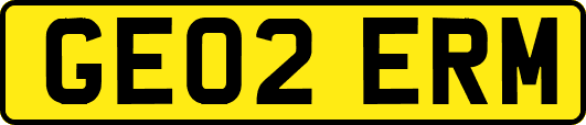 GE02ERM