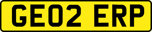 GE02ERP