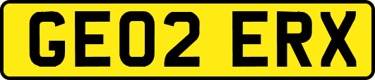 GE02ERX