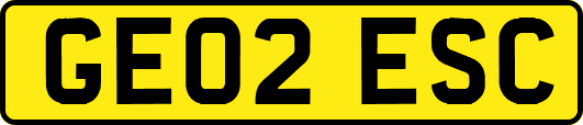 GE02ESC