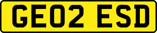 GE02ESD