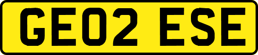 GE02ESE