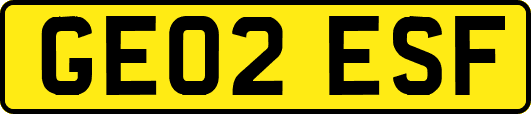 GE02ESF