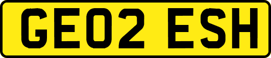GE02ESH