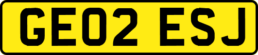GE02ESJ