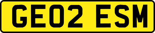 GE02ESM