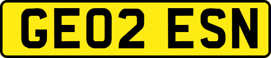 GE02ESN