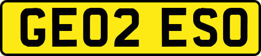 GE02ESO