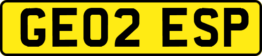 GE02ESP