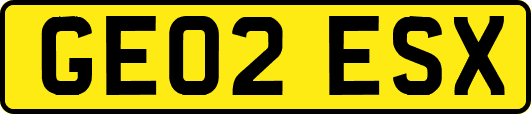 GE02ESX
