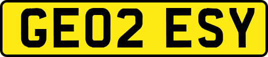 GE02ESY