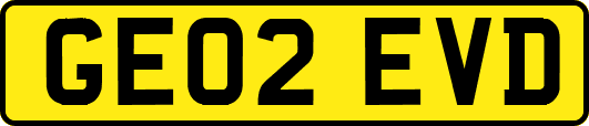 GE02EVD