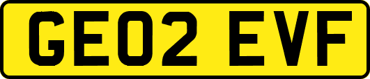 GE02EVF