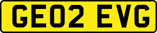 GE02EVG