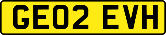 GE02EVH