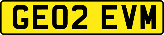 GE02EVM