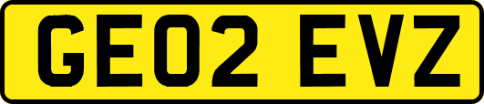 GE02EVZ