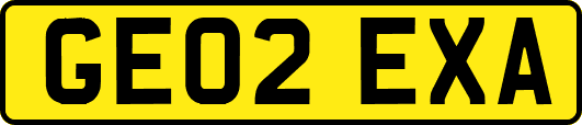 GE02EXA