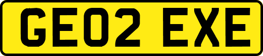 GE02EXE