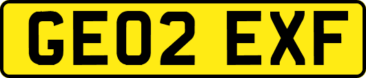 GE02EXF