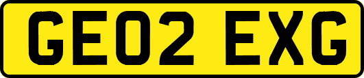 GE02EXG