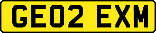 GE02EXM