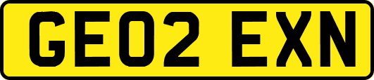 GE02EXN