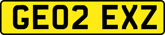 GE02EXZ