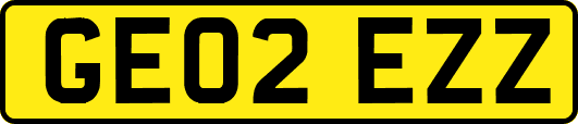 GE02EZZ