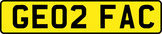 GE02FAC