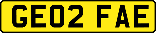 GE02FAE