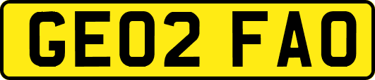 GE02FAO