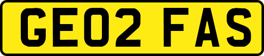 GE02FAS