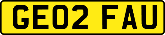 GE02FAU