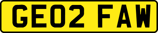 GE02FAW