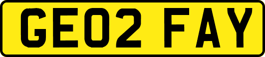 GE02FAY