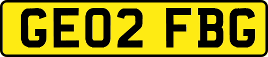 GE02FBG