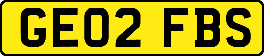 GE02FBS