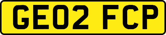 GE02FCP