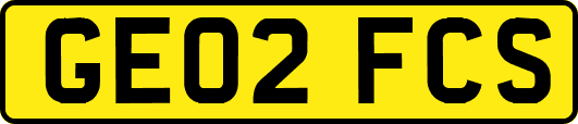 GE02FCS