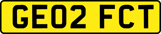 GE02FCT