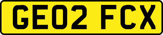 GE02FCX